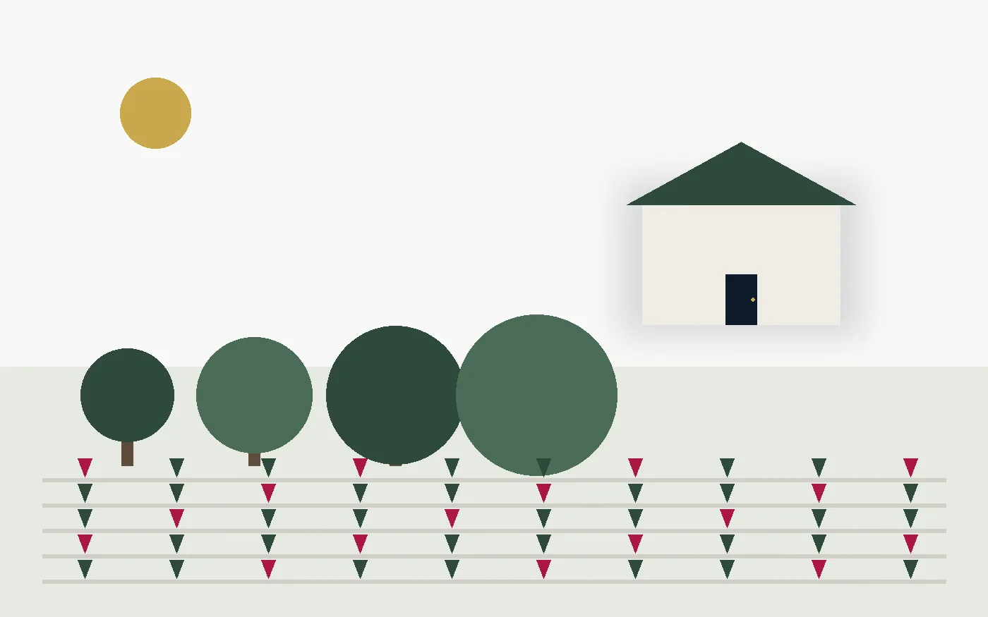 Illustration: garden beds and shaped hedges beside a home (original illustration)