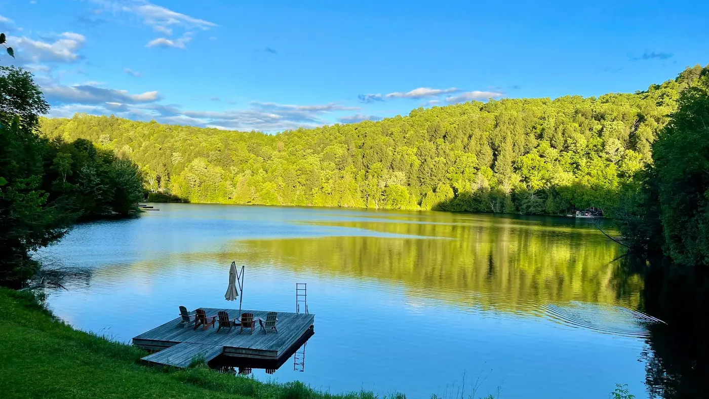 Grassy shoreline and dock along a calm lake, illustrating a shore road allowance in Muskoka